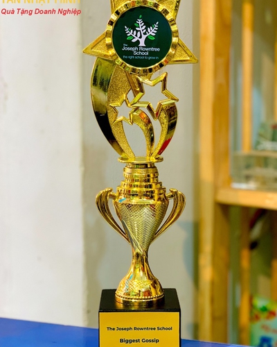 Cúp nhựa giá rẻ 16