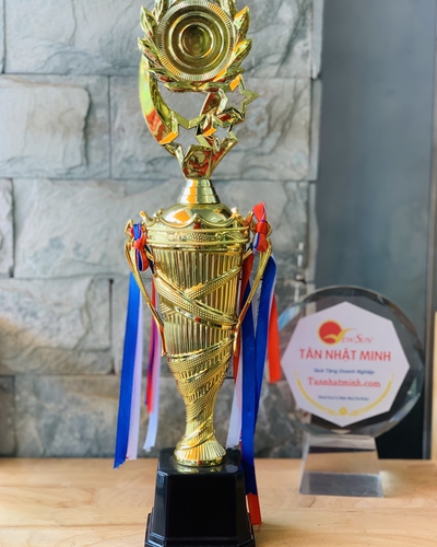 Cúp nhựa giá rẻ 18
