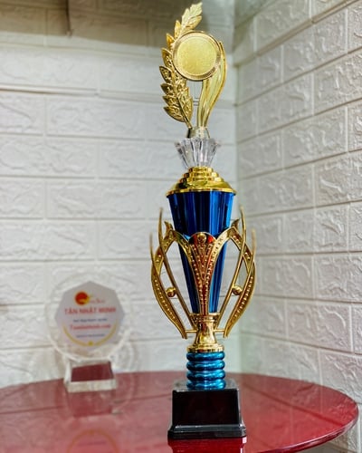 Cúp nhựa giá rẻ 14