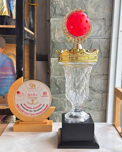 Cúp Pha Lê Pickleball Cao Cấp - Mẫu Đẹp Được Ưa Chuộng