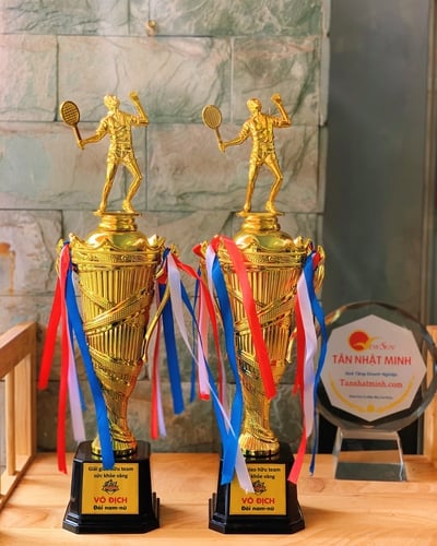 Cúp nhựa giá rẻ 19