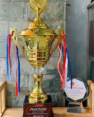 Cúp thể thao kim loại 98