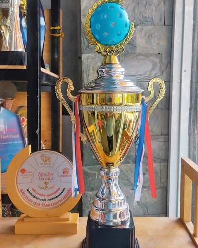 Cúp Pickleball Kim Loại Cao Cấp 2024 (2)