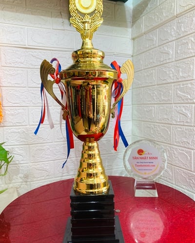 Cúp thể thao kim loại 87
