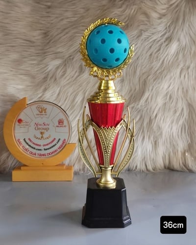 Mẫu Cúp Pickleball Nhựa Giá Rẻ (3)