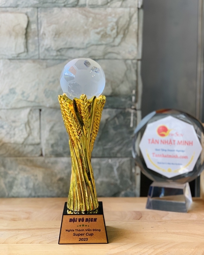 Cúp vinh danh, cúp lưu niệm mạ vàng 7