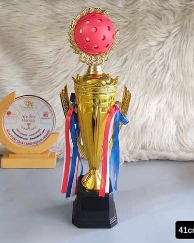 Mẫu Cúp Pickleball Nhựa Giá Rẻ (4)
