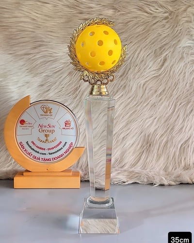 Cúp Pickleball Pha Lê - Món Quà Ý Nghĩa (2)