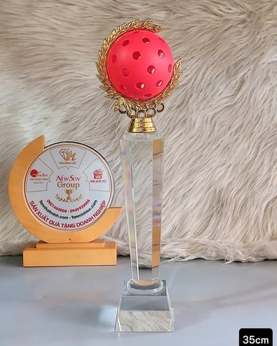 Cúp Pickleball Pha Lê - Món Quà Ý Nghĩa (2)