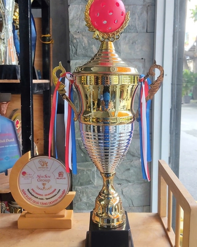 Cúp Pickleball Kim Loại Vàng Bạc - Mẫu Đẹp 2024