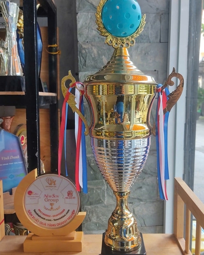 Cúp Pickleball Kim Loại Vàng Bạc - Mẫu Đẹp 2024