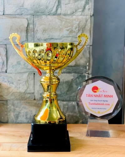 Cúp thể thao kim loại 60