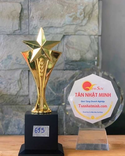 Cúp Ấn Độ Vinh Danh Đẹp (695)