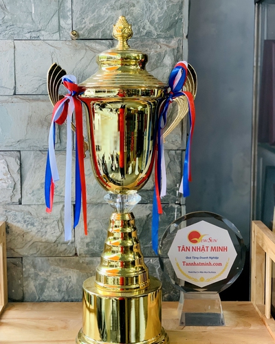 Cúp thể thao kim loại 25