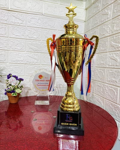 Cúp thể thao kim loại 21