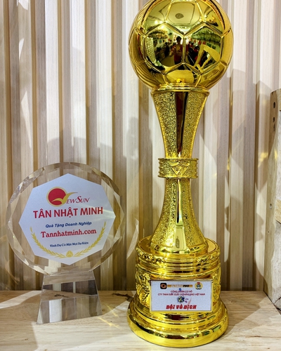 Cúp thể thao kim loại 12