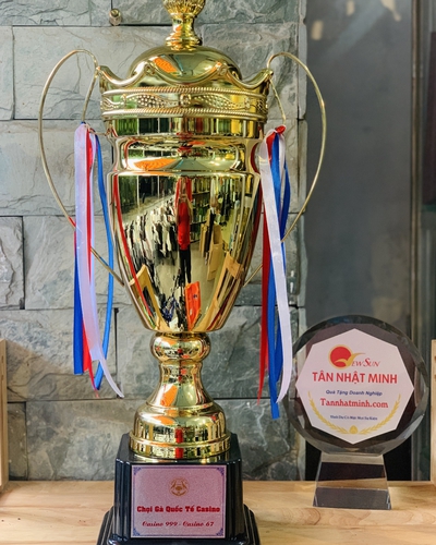 Cúp thể thao kim loại 7