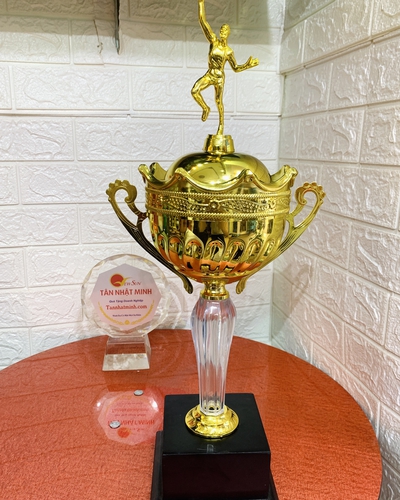 Cúp thể thao kim loại 2