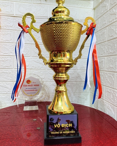 Mua cúp bóng đá, cúp lưu niệm, 3