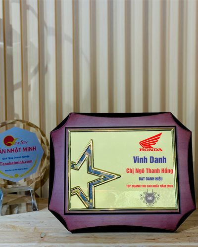 bảng vinh danh, biểu trưng pha lê gỗ (4)