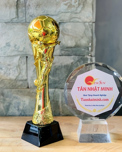 Nơi Đặt Làm Bóng Đá Cup - Đẹp Và Uy Tín