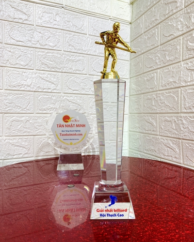 Mua Cúp Bida Đẹp (5)