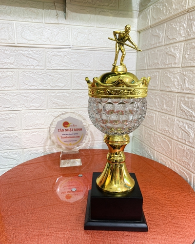Cúp Bida Kim Loại (12)