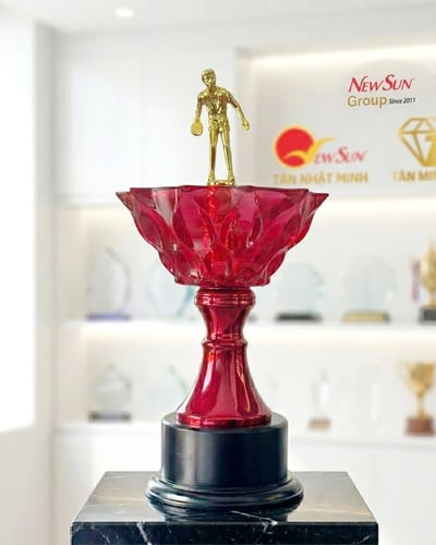 Cúp Bóng Bàn - Lưu Niệm Đẹp (4)