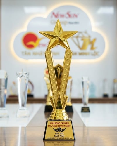 Mua Cúp Bóng Chuyền Ngôi Sao Đẹp