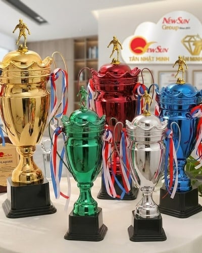 Mẫu Cúp Bóng Đá Lưu Niệm Đẹp Đa Màu 4