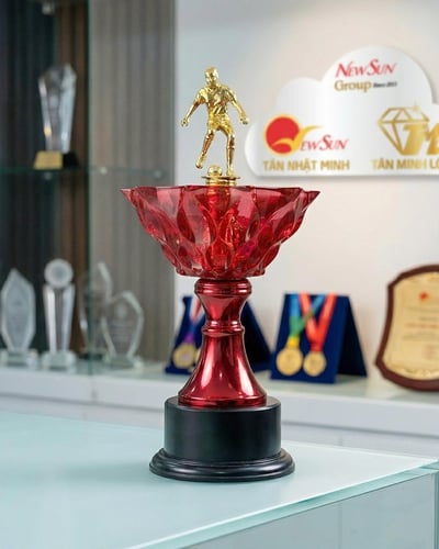 Mẫu Cúp Bóng Đá Lưu Niệm Đẹp Đa Màu 7