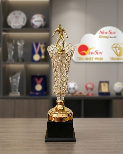 Mẫu Cúp Bóng Đá Lưu Niệm Đẹp Đa Màu 9
