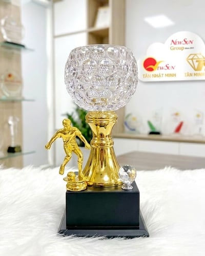Mua cúp bóng đá, cúp lưu niệm pha lê