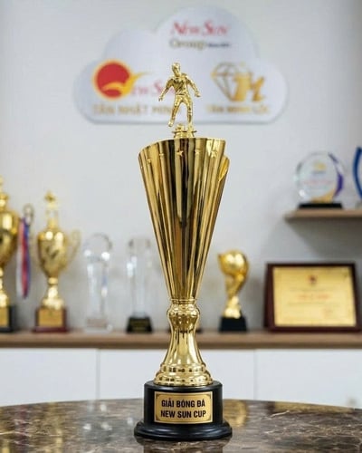 Cúp bóng đá kim loại đẹp - 10