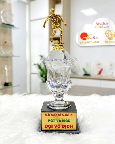Cúp kim loại, Bán cúp bóng đá, cúp thể thao - 31