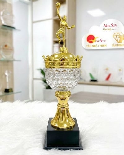 Cúp Bóng Rổ Pha Lê Đẹp -3