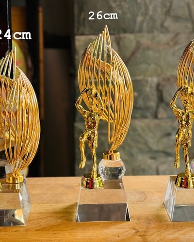 Cúp Bóng Rổ Trao Giải - Cúp Bóng Rổ Thể Thao - Mẫu Đẹp 2024