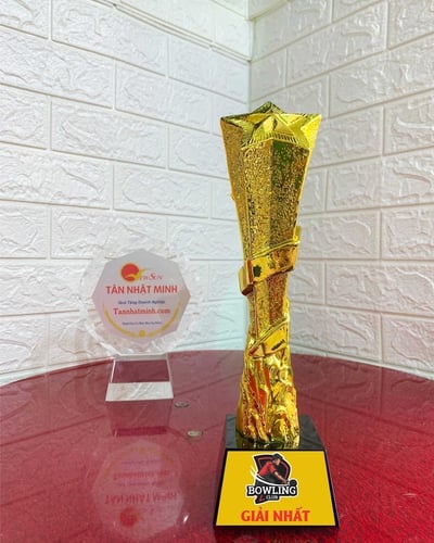 Các Mẫu Cúp Bowling - Giá Rẻ Đẹp tại Tân Nhật Minh