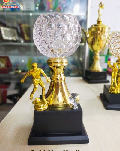 Mua cúp bóng đá, cúp lưu niệm, 11