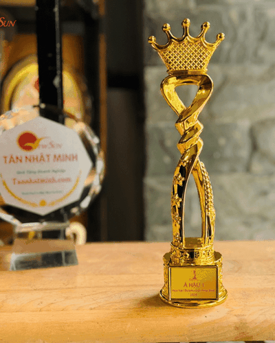 Cúp Vinh Danh, Lưu Niệm Mạ Vàng 30