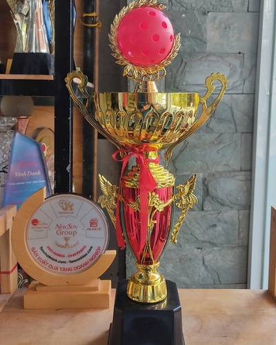 Mẫu Cúp Pickleball Nhựa Giá Rẻ (3)