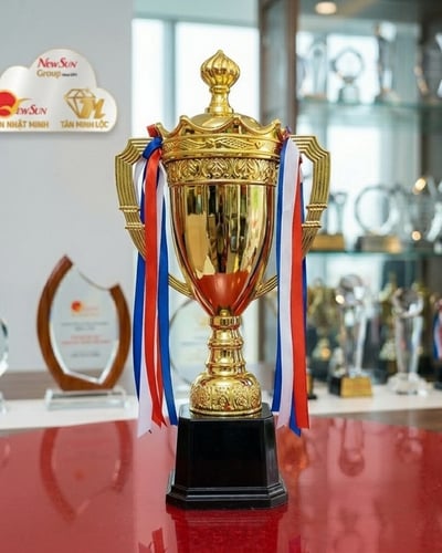 Cúp nhựa giá rẻ 25