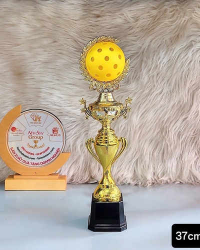 Mẫu Cúp Pickleball Nhựa Giá Rẻ (2)