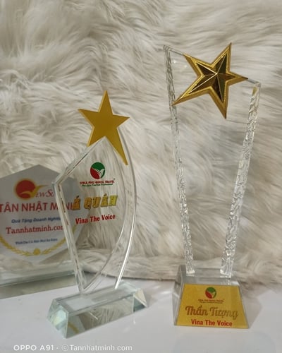 Cúp pha lê nhập đẹp -2