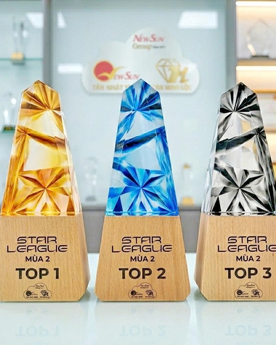 Cúp vinh danh, Cúp pha lê Đế gỗ đẹp, Cao cấp -3