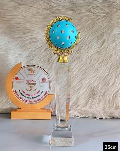 Cúp Pickleball Pha Lê - Món Quà Ý Nghĩa (2)