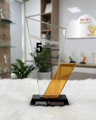 Mua cúp kỷ niệm chương pha lê đẹp - 2