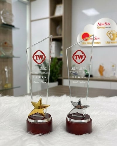 Mua cúp lưu niệm, cúp pha lê vinh danh ngôi sao đế gỗ