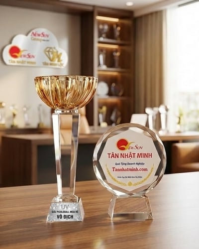 Mẫu Cúp Pickleball đẹp mới (8)