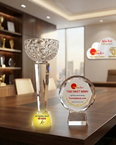Mẫu Cúp Pickleball Pha lê đẹp mới (1)